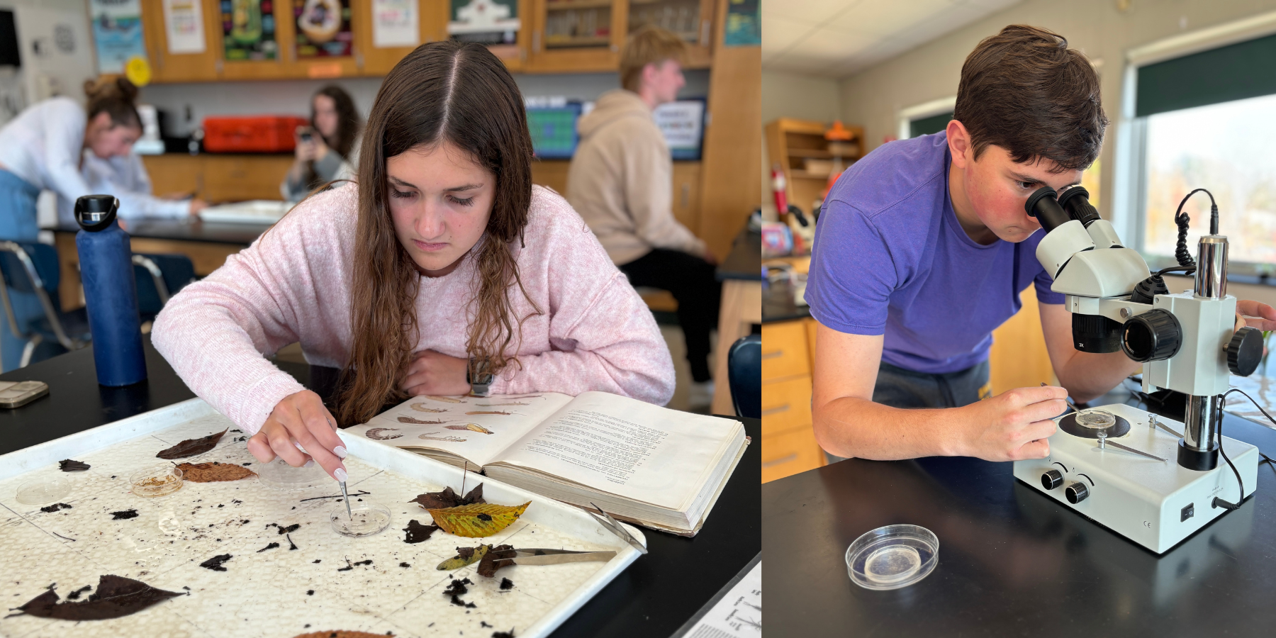 a female student picks through sediment from a creek and another students looks through a microscope